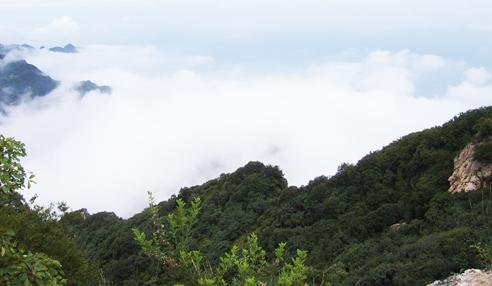 【江門2天品質(zhì)游】新會古兜溫泉、天然山泉水世界、陳