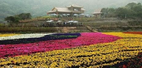 【潮汕2天高鐵團】開元寺、韓文公祠、礐石、丹櫻生態(tài)